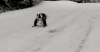 滑雪 skiing