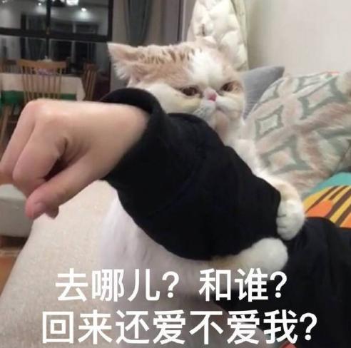 搞笑 魔性 大杂烩 沙雕 文字表情包