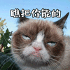 瞧把你能的 猫 生气 搞怪 逗