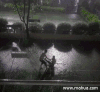下雨天 逗比 作死 旋转 搞笑