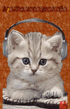 动物 猫猫 眨眼 听音乐
