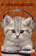 动物 猫猫 眨眼 听音乐