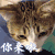 你来啦 你来了