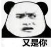 暴漫 文字表情包 又是你 搞笑 逗 沙雕