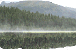 山雾 风 倒影 镜像 美景 自然 风光 雾 mist nature