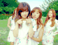 Apink 清新 美少女 女团