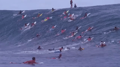 冲浪 运动 海洋 海浪 surfing