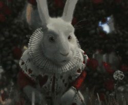 爱丽丝梦游仙境 兔子 对话 严肃