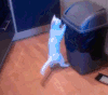 搞笑 喵星人 猫咪 萌宠 可爱