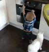 小猫 小孩 白色 可爱