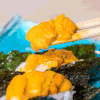 美食 寿司 海苔
