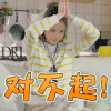 有猫在 对不起我错了 soogif soogif出品