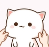 猫咪 可爱 卡通 捏脸