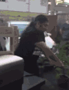 西瓜 椅子 玻璃 绿色