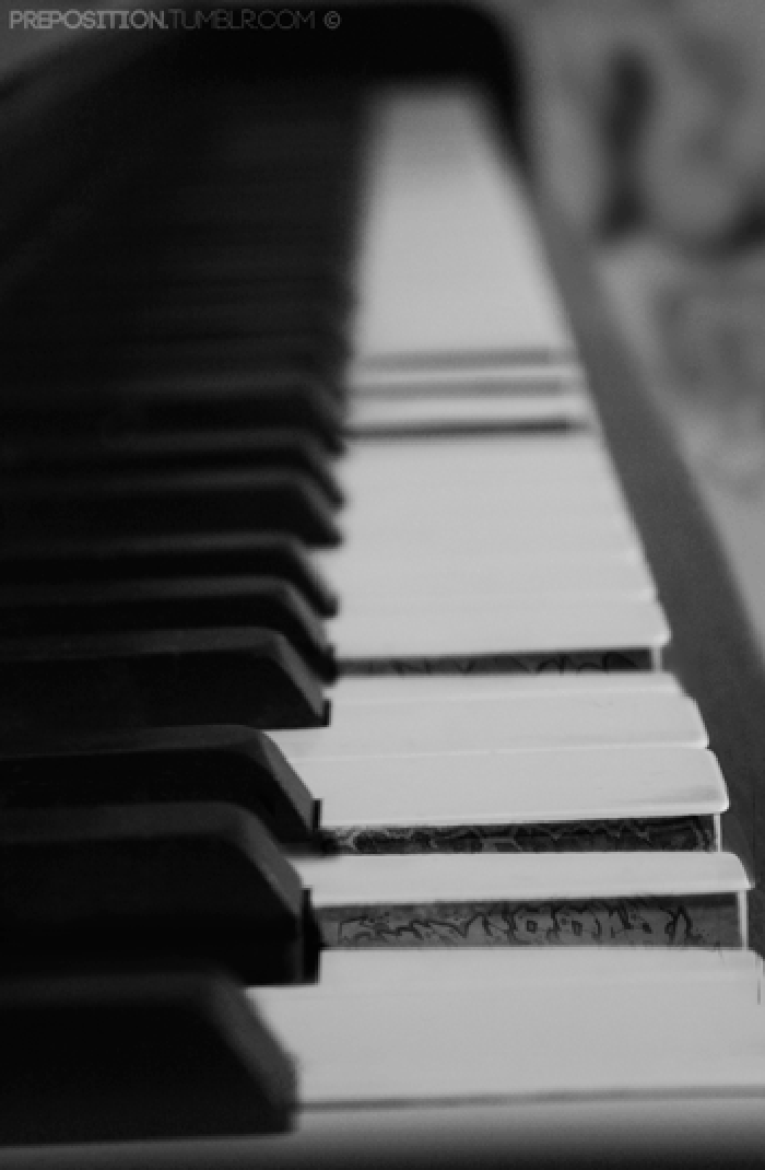 钢琴 黑白 弹奏 生活
