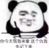 熊猫头 文字表情包 你今天骂我来着这个仇我先记下来 搞笑 逗 沙雕