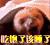 吃饱了该睡了 睡觉 卖萌
