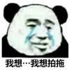 熊猫头 文字表情包 我想拍拖 搞笑 逗 沙雕