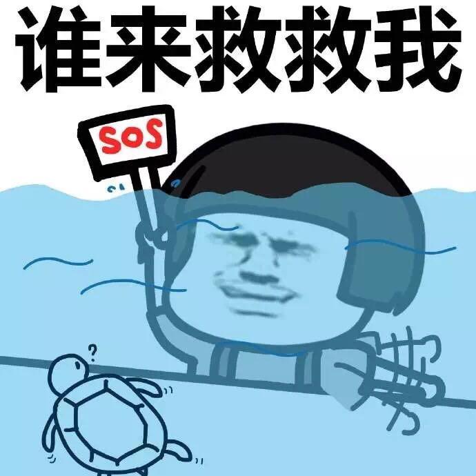 为啥没人约乌龟短发谁来救救我gif动图_动态图_表情包下载_soogif