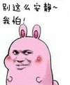 兔子 恶搞 粉粉的 别这么安静我怕