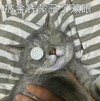 萌宠 猫星人 被金钱蒙蔽了双眼 搞怪 逗