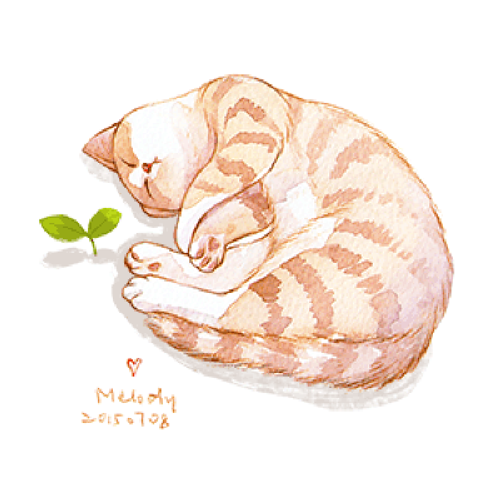 绿草 小猫 睡觉 懒懒的