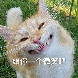 萌宠 猫咪 猫 喵星人 给你一个微笑吧 虎牙 生气