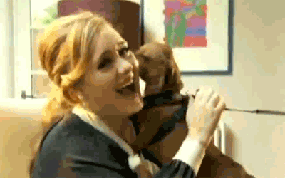 阿黛尔·阿德金斯 Adele 小狗 欧美歌手