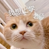 萌宠 喵星人 我想上学 老师 呆萌 可爱