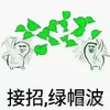 金管长 帽子 绿色 接着绿帽波