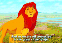迪士尼 狮子王 生命的循环