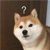 萌宠 汪星人 ？？ 惊讶 呆萌 可爱