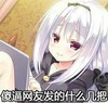 傻逼网友 发的什么几把 斗图 搞笑 少女 奇幻