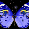  蝴蝶 Photobucket freedomsxm