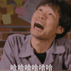 哈哈哈哈哈 张全蛋