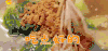 聊点有趣的 美味 享受