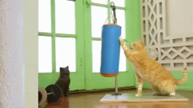 搞笑 爆笑 运动