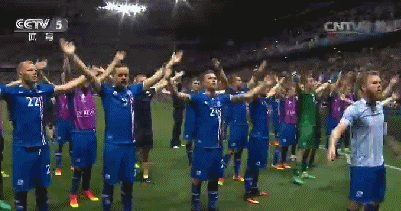 2016欧洲杯 冰岛 庆祝 开心