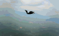 极限运动 跳伞 刺激 天空 风景 降落