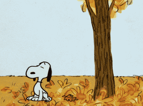 史努比 秋天 落叶 玩耍