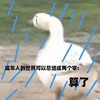 萌宠 大鹅 算了 难受 搞怪 逗