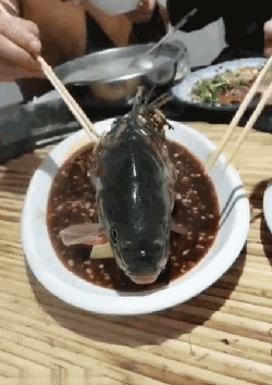 筷子 盘子 手指 鱼