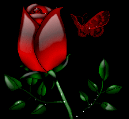 红色 绿叶 蝴蝶 玫瑰