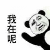 我在呢 撩 熊猫头 搞怪 逗