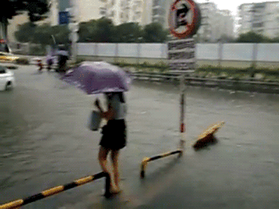 雨伞 水 汽车 房子