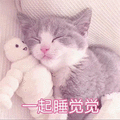 萌宠 猫咪 猫 喵星人 一起睡觉觉 撩