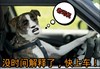 没时间解释了 快上车 老司机 金馆长