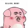 斗图 猪头 我九乡河的 要你管