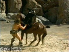 人物 阿诺施瓦辛格 牛人 动物 杯具 打架 搞笑 摔倒 明星 影视