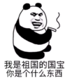 暴漫 文字表情包 我是祖国的国宝你是个什么东西 魔性 沙雕 逗